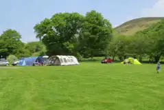 Non electric grass pitches at Woodlands Caravan Park