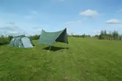 Grass Camping Pitches at Ten Acres Vineyard