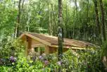 Scandinavian Log Cabins at Alpine Grove Touring Park