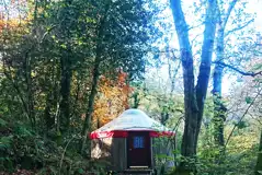 Large Secluded Woodland Yurts at Yurtcamp Devon