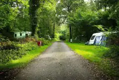 Non Electric Grass Pitches at Setthorns Campsite