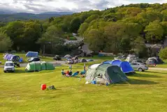 Fellside Camping Pitches at Park Cliffe Camping and Caravan Estate