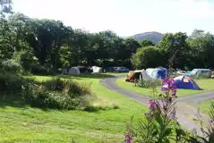 Grass Pitches at Llwyn yr Helm Caravan Park