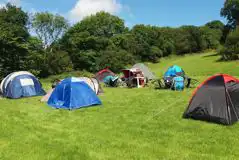 Non-Electric Grass Pitches at Whitemoor Camping