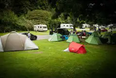 Grass Pitches at Cardiff Caravan and Camping Park