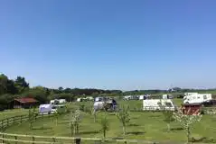 Electric Grass Pitches at Kings Forest Caravan and Camping Park