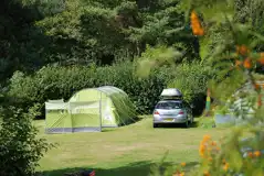 Non-serviced Pitches at Oakdown Holiday Park