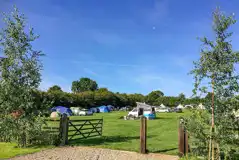 Electric Grass Pitches at Rural Relaxing