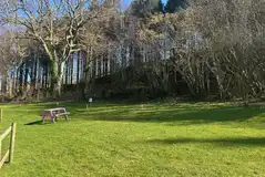 Electric grass pitches (8m x 4m) with 16 amp hook ups Electric grass pitches (8m x 4m) with 16 amp hook ups