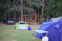 Non Electric Forest Floor Tent Pitches (Pet Friendly) at Avon Tyrrell Activity Centre