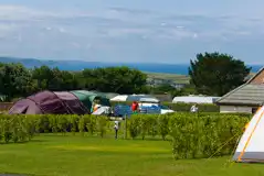 Electric Grass Pitches at Wooda Farm Holiday Park