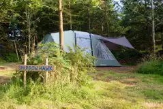 Wild Woodland Camping Pitches at Kitewood Camping