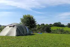 Non Electric Grass Tent Pitches at Walnut Tree Farm
