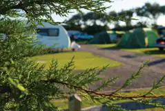 Fully Serviced Hardstanding Pitches at Seal Bay Resort