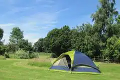 Non Electric Grass Pitches at Little Oak Camping