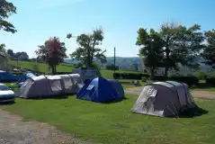 Grass Pitches at Clarion Lodge Campsite