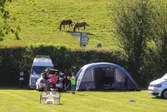 Electric grass pitches