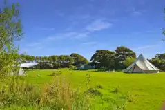 Non Electric Grass Pitches at Spring Meadow Farm Campsite