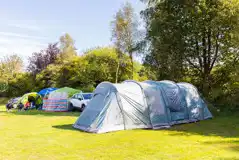 Electric grass pitches (family area)