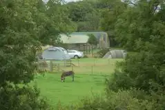 Grass Pitches at Dyfed Shire Horse Farm Campsite