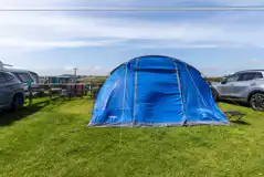 Standard Electric Grass Pitches at Treveague Campsite