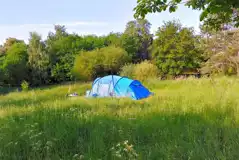 Non Electric Grass Pitches at Twitey's Camping and Glamping Meadows