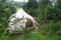 Gwynfryn Bell Tent at Gwynfryn