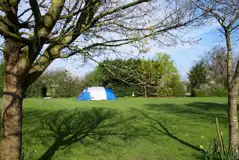 Electric Grass Camping Pitches at Briarfields Motel and Touring Caravan Park