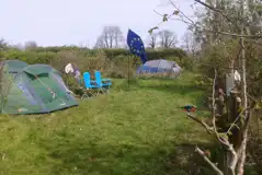 Camping Pitches at North Lodge Eco Holidays