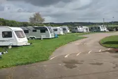 Electric Grass Pitches at Brodawel Camping and Touring Park