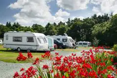 Hardstanding Pitches at Cranberrymoss Camping and Caravanning