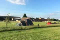Electric Grass Tent Pitches at Butt Farm Caravan and Camping Site