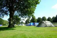 Non Electric Grass Tent Pitches at South Lytchett Manor Caravan and Camping Park