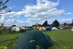 Electric Standard Pitches at Deepdale Camping
