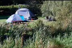 Tent Camping Pitches at The Limes Campsite