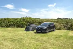 Standard electric pitch