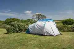 Large electric grass pitch