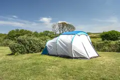 Large electric grass pitch