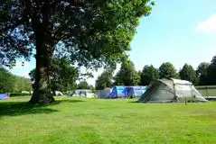 Super Grass Tent Pitches at South Lytchett Manor Caravan and Camping Park