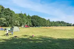 Non Electric Grass Pitches at Primrose Fields Campsite