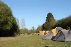 Electric Grass Tent Pitches at Hunters Lodge Caravan and Camping Site