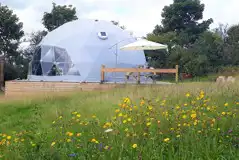 Cromen Ddôl (Meadow Dome)  at Wild Wellingtons Glamping