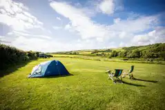 Non Electric Grass Pitches at Becks Bay Camping and Glamping