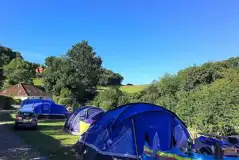 Medium Electric Grass Campervan Pitches at Hook Farm