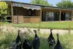 Bunkhouse