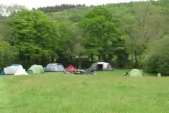 Meadow Sweet (Group Wild Camping) at Experience Sussex at Wimbles Farm