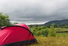 Family Camping Pitches at Spotty Dog Campsite