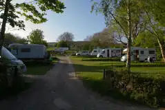 Electric Hardstanding Touring Pitches at Dale Farm Rural Campsite