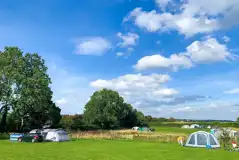 Grass Pitches at Greenacres Campsite