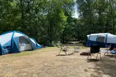 Woodland Pitches at Fox Wood Camping